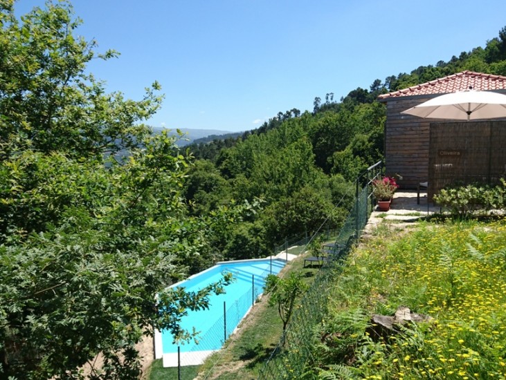 Piscina Oliveira e Sobreiro
