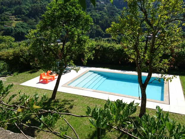 piscina raposeira com relva